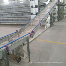 Chicken Cage Egg Chain Conveyor Collection System